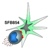 Logo_SFB854